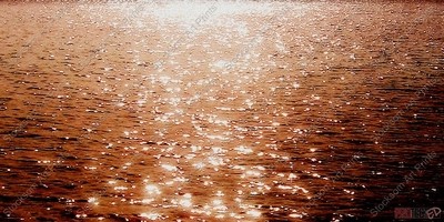 Stars On The Sea