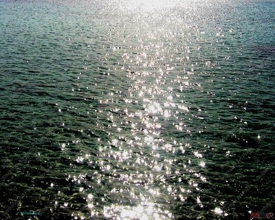 Sea Patterns 11