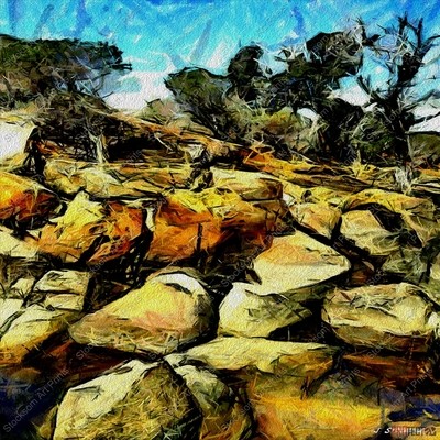 River Bank and Beyond