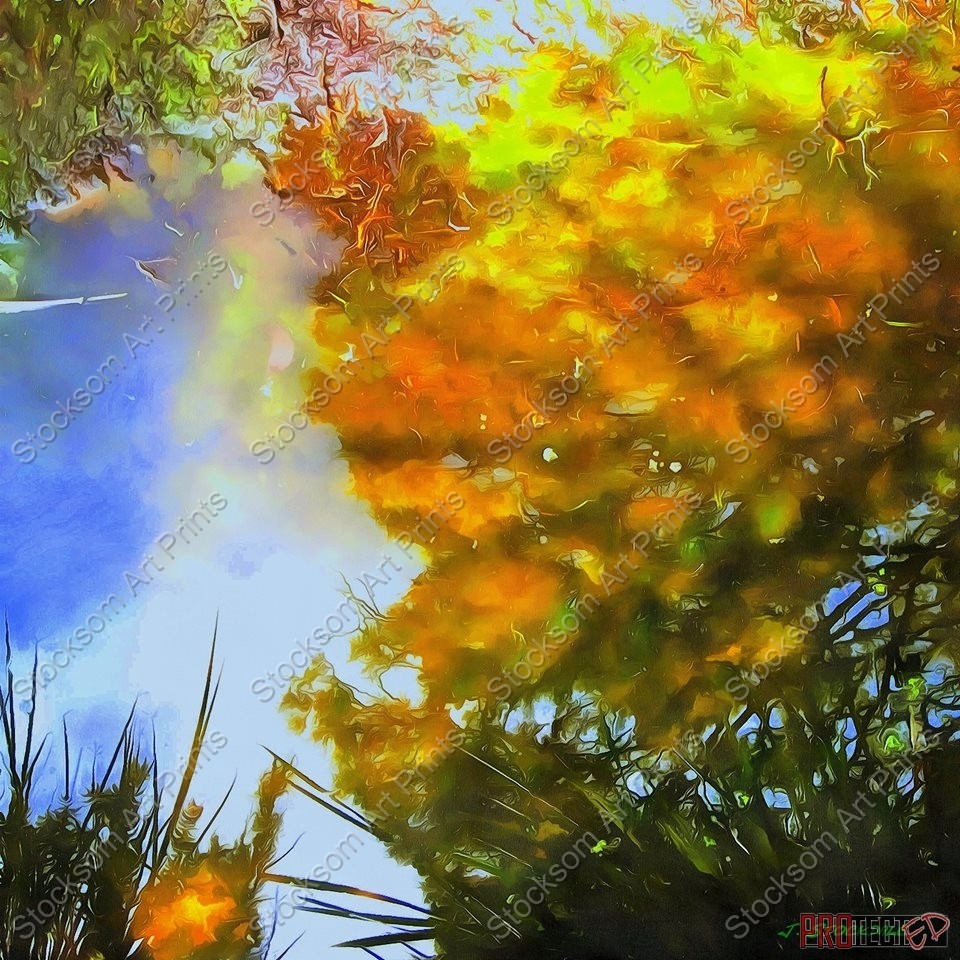 Reflections 4 Reflections 4