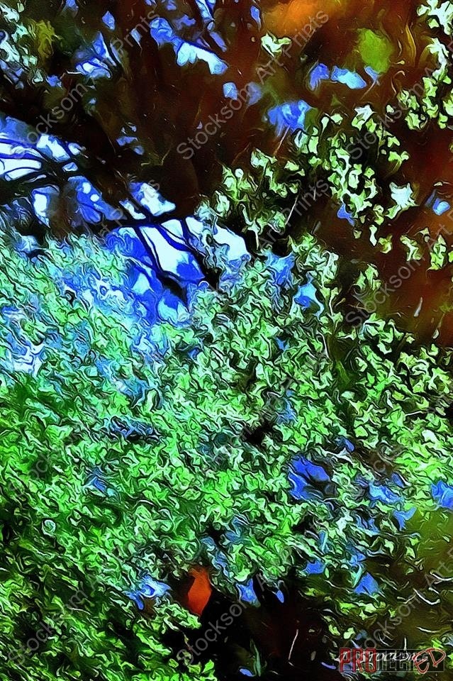 Reflections 3