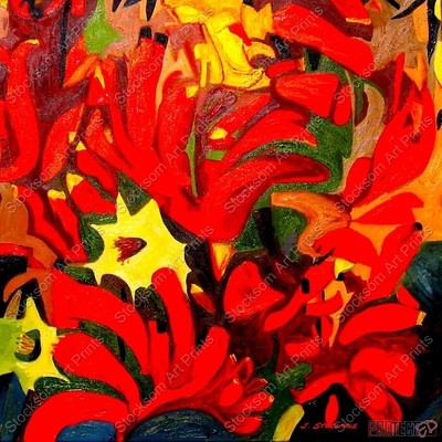 Red Flowering Kangaroo Paw