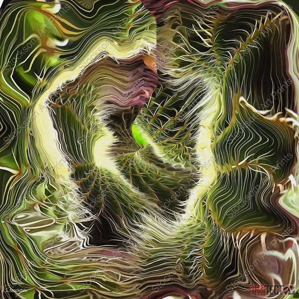 Prickly Pear