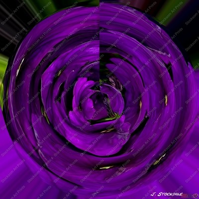 Petunia Swirls