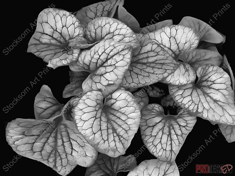 Leaves 16