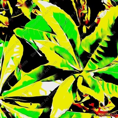 I Love leaves 5