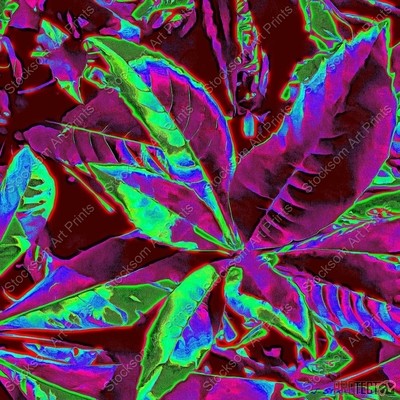 I Love Leaves 3