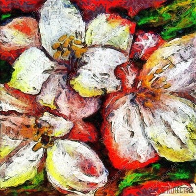 Flowering 2
