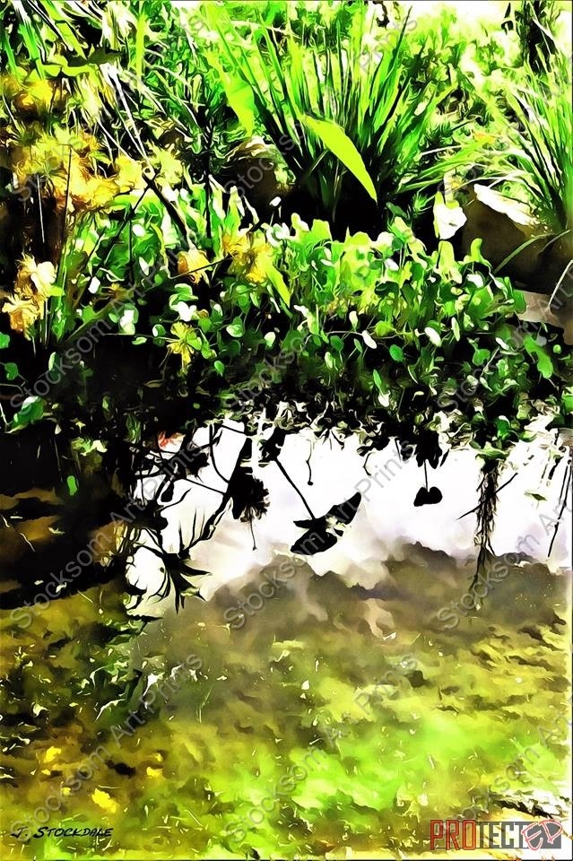 Fish Pond
