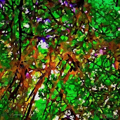 Impression 4