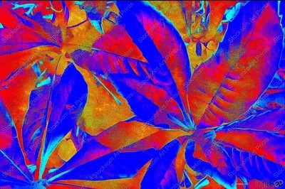 I Love Leaves 6
