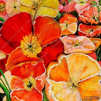 Icelandic Poppies