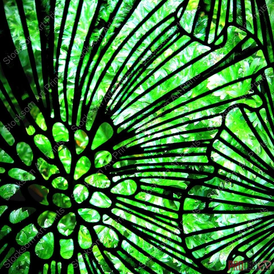 Floral 2 Floral 2