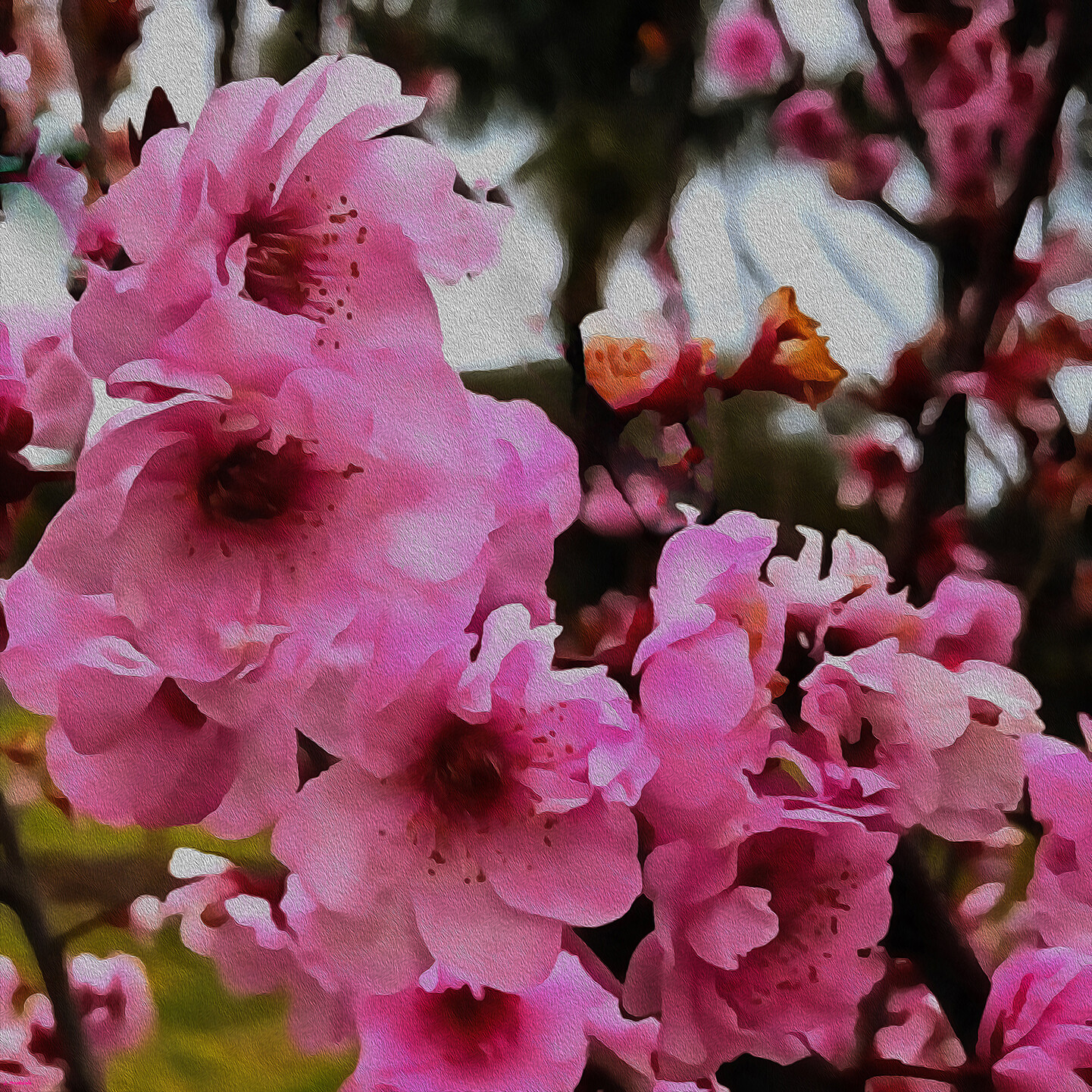 Spring Blossoms 1