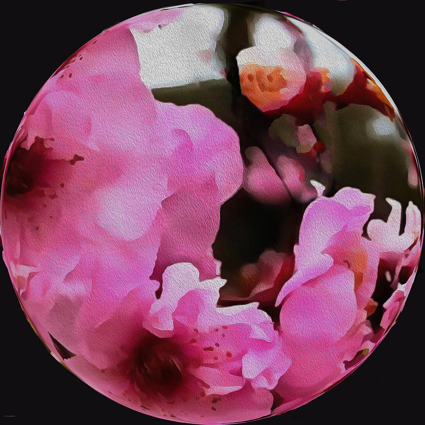 Spring Blossoms 4
