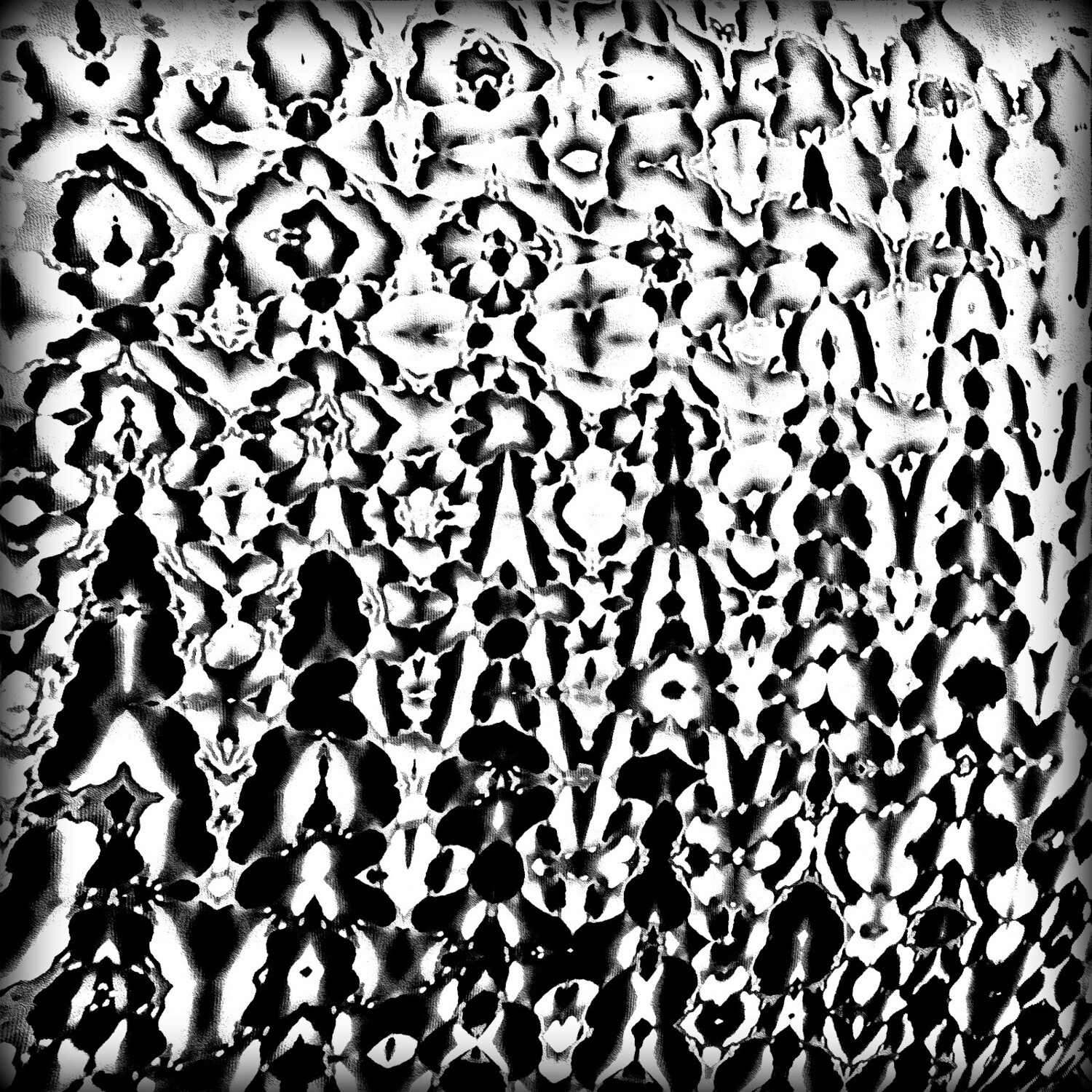 Schooner Black And White