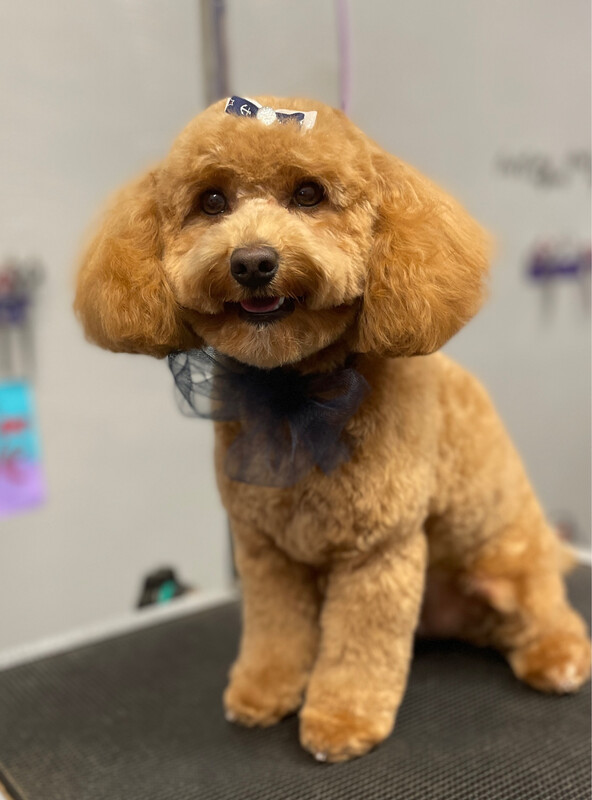 Fresh N Clean Package 