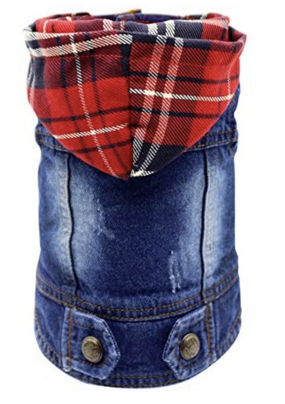 Jean Jacket With Hoodie