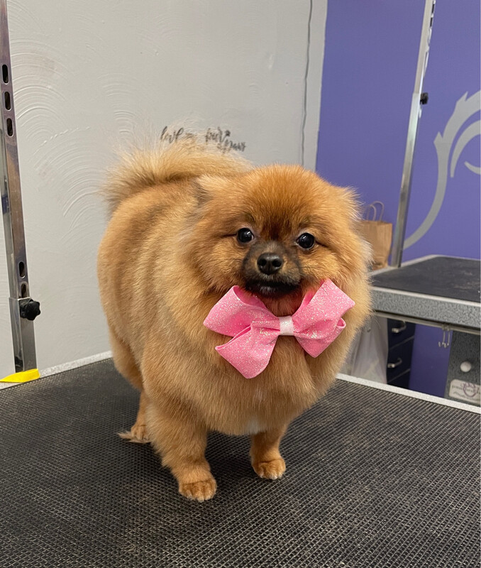 Straight Through Service