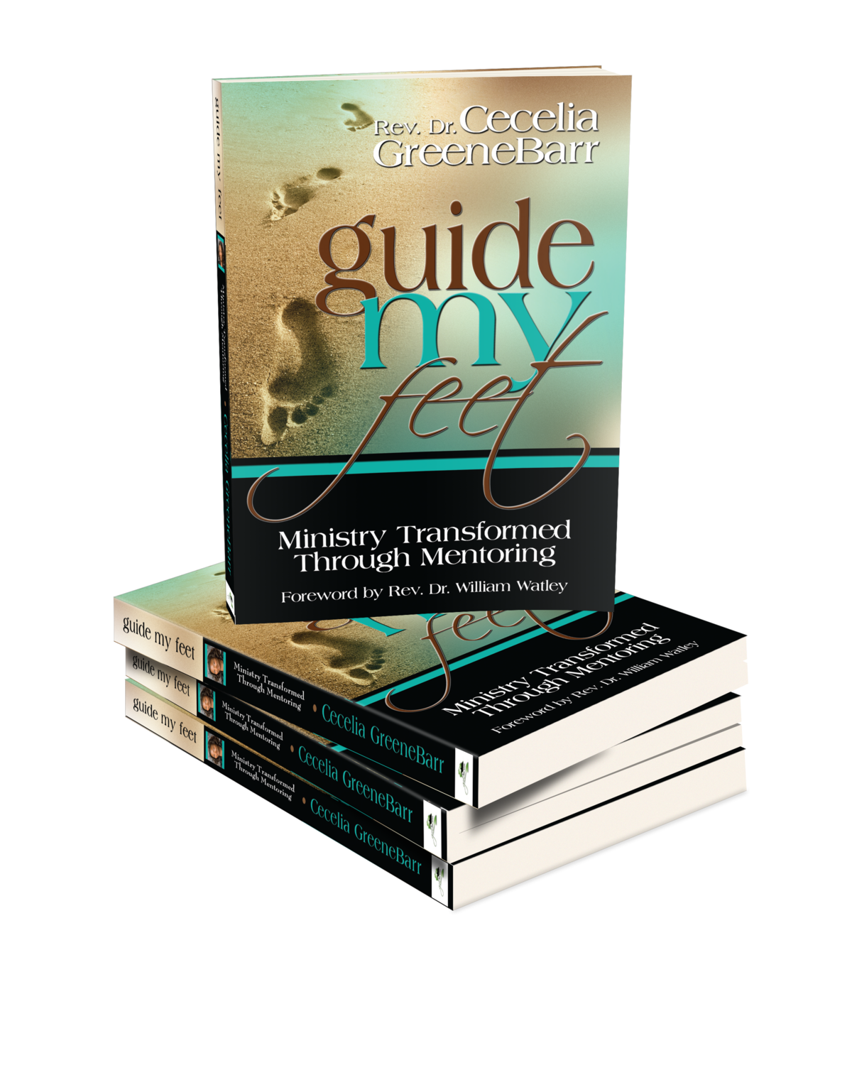 Guide My Feet: Ministry Transformed Through Mentoring