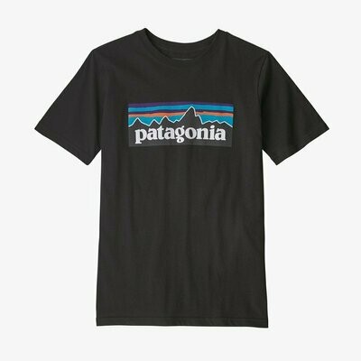 Patagonia Boys P-6 Organic Tee