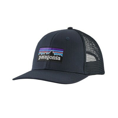 Patagonia P-6 Trucker Hat
