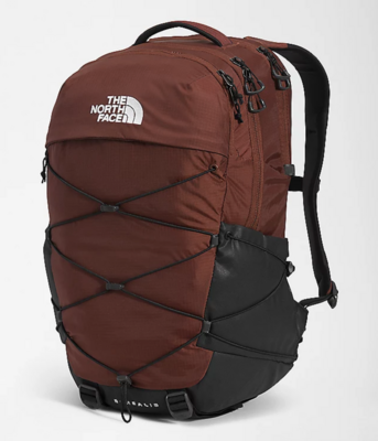 The North Face Borealis Backpack
