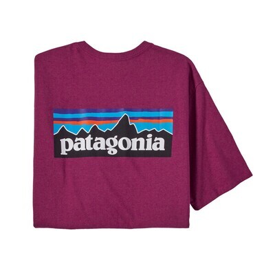 Patagonia Men's P-6 Logo Responsibili Tee