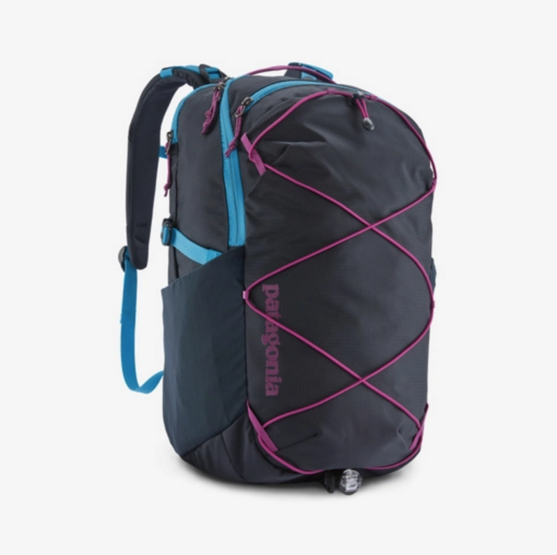 Patagonia Refugio Daypack 30L