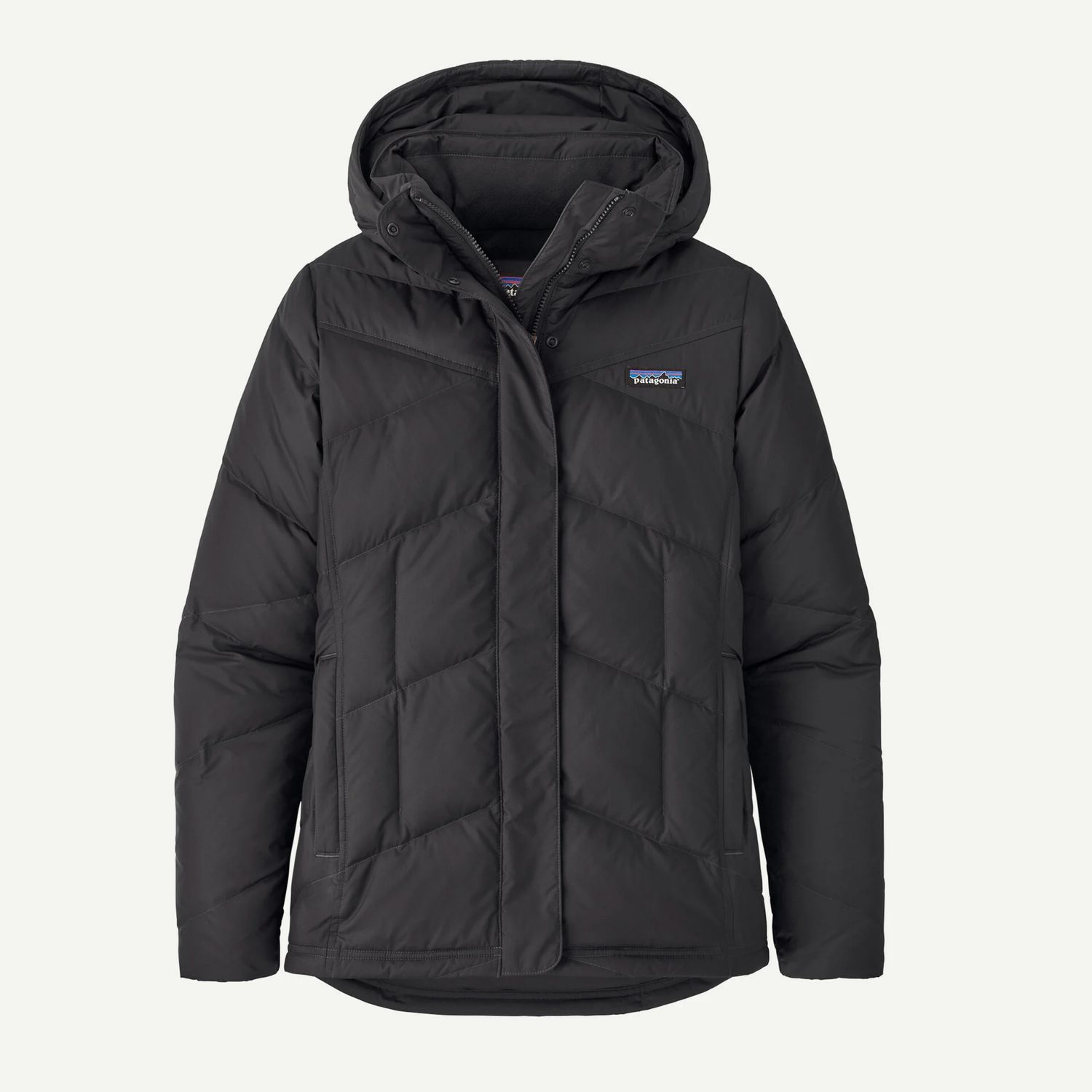 Patagonia Women&#39;s Down With It Jacket
