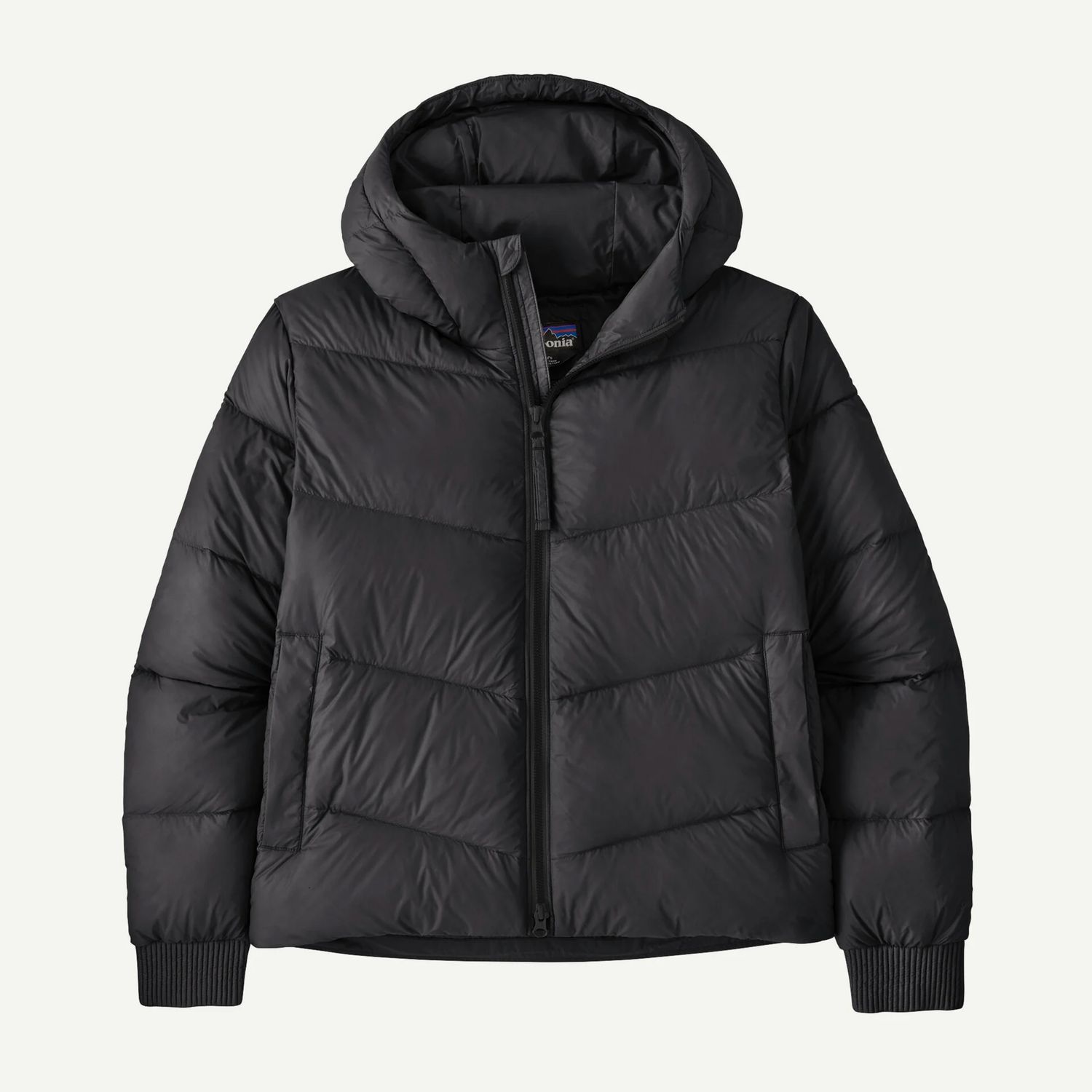 Patagonia Women&#39;s Sindit Hoody Jacket