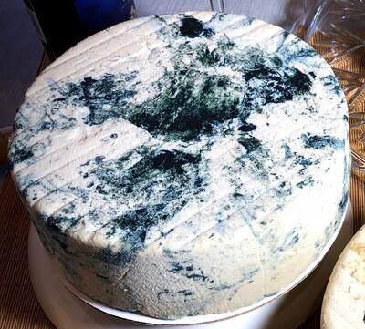 5 POUND WHEEL Artisan Spirulina Blue Cheese
