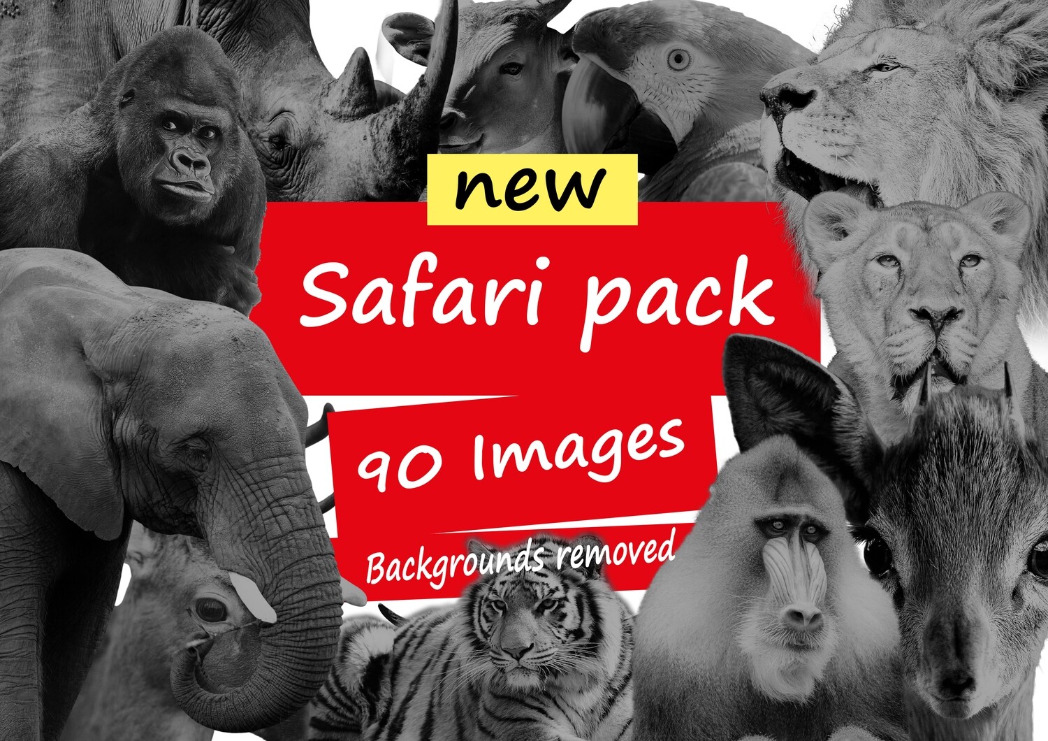 safari image pack / black and grey/