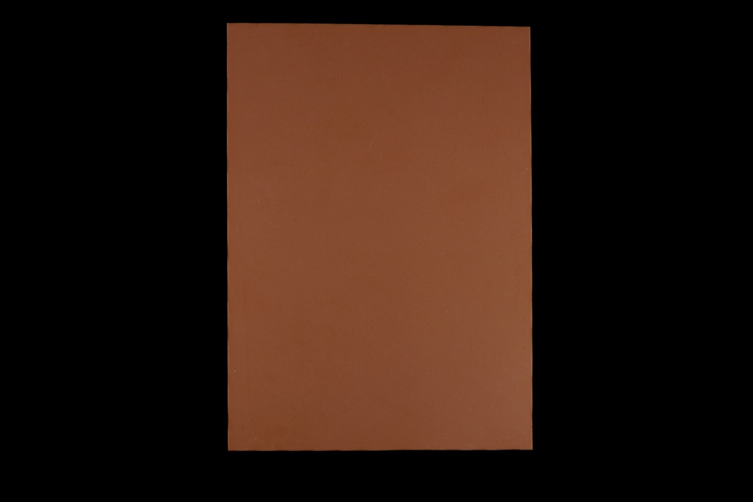 A5 Reelskin sheet (Darker tone) £6.99