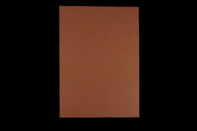 A5 Reelskin sheet (Darker tone) £5.99