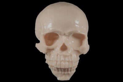 Reelskin tattooable skull  £39.99