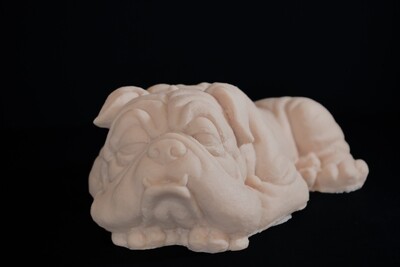 Spaggy £55.00