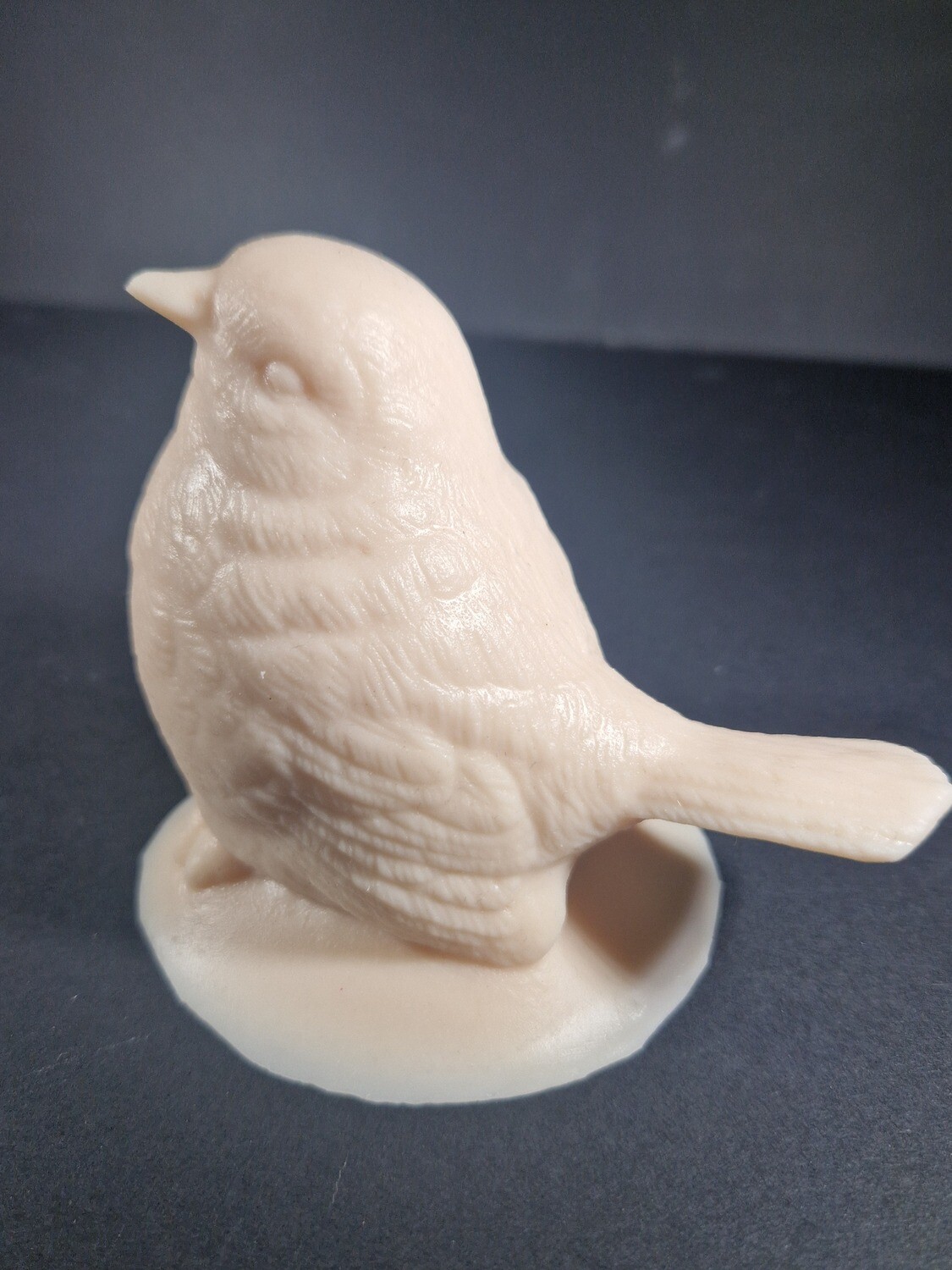 Reelskin Birdy £16.99
