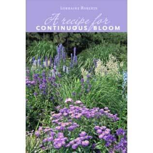 Recipe for Continuous Bloom Recipe for Continuous Bloom