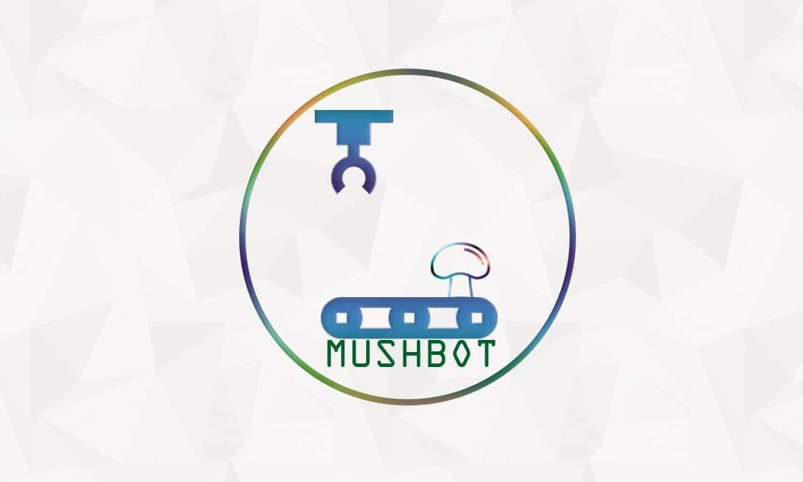 Custom Order - Mushbot