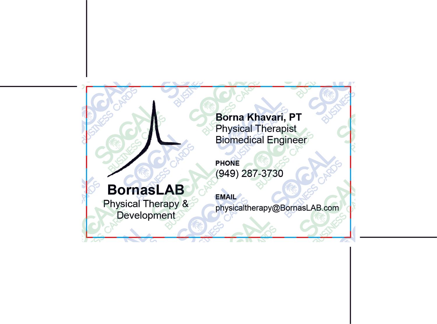 Custom Order - BornasLAB