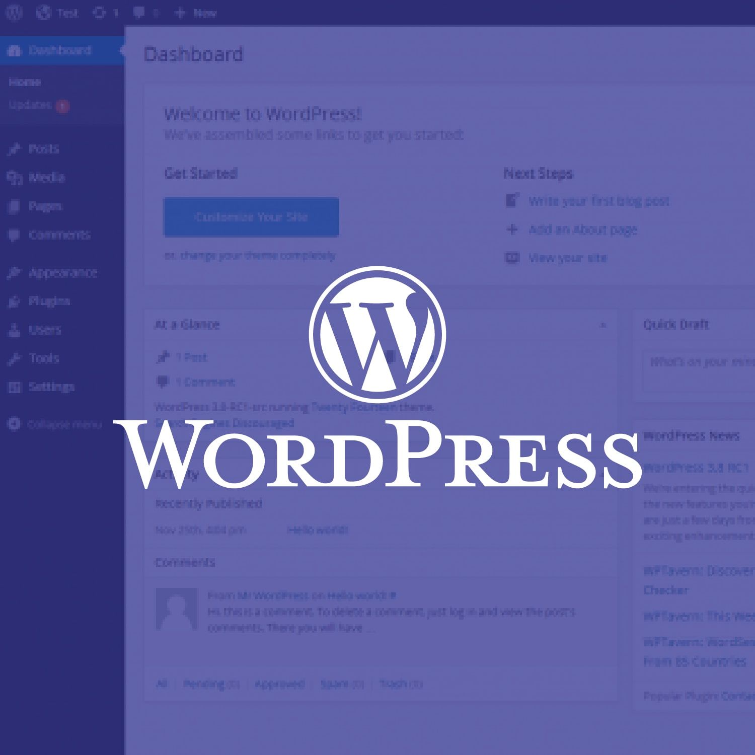 WordPress Setup