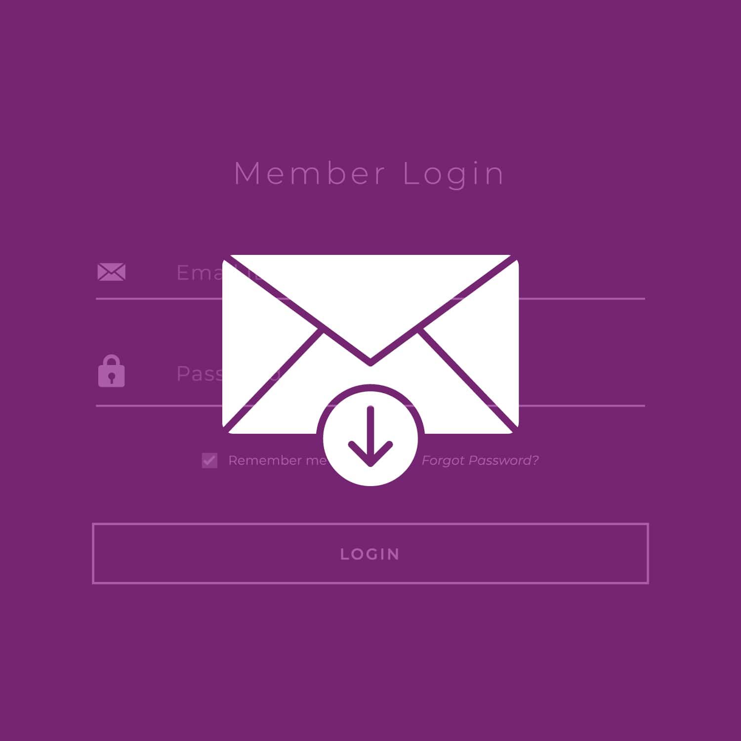 Email login screen for custom domain – showcasing personalized email access using branded domain names.