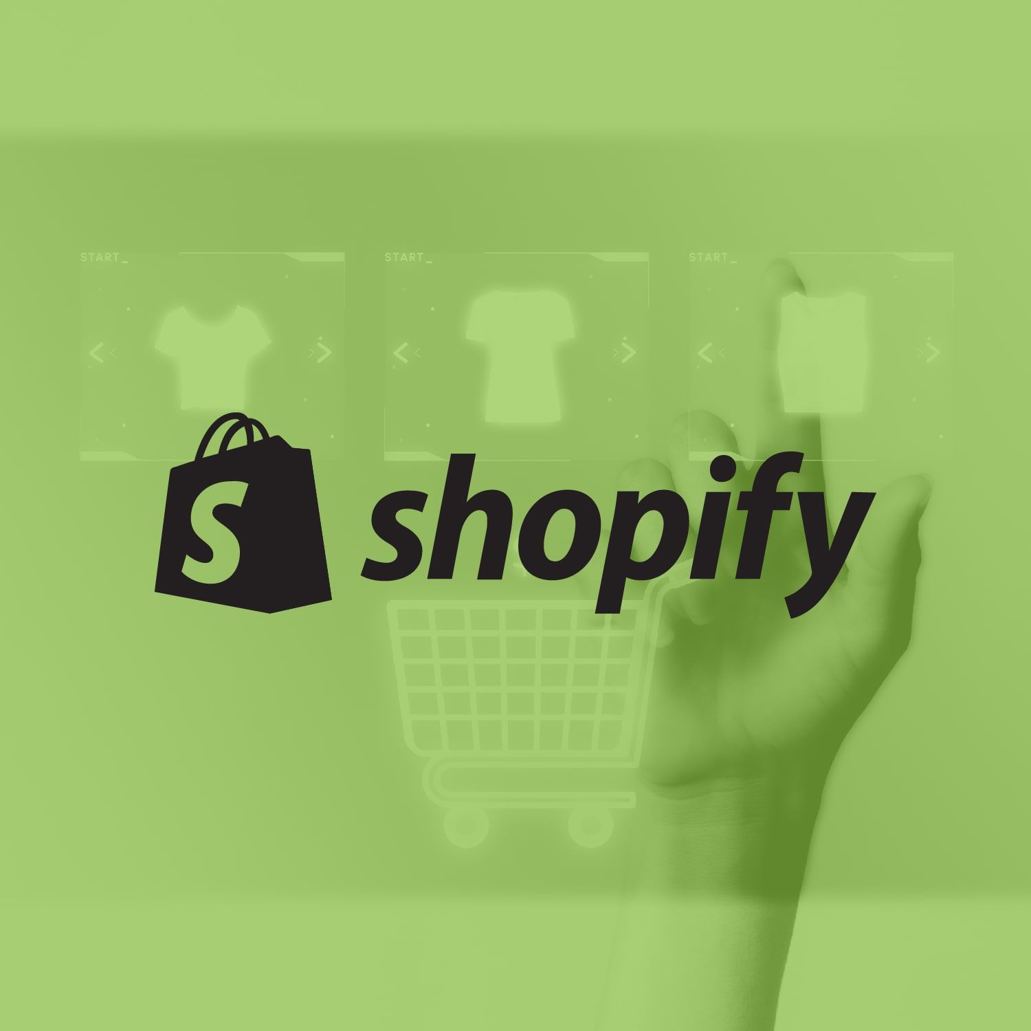 E-Commerce Store Setup - Shopify