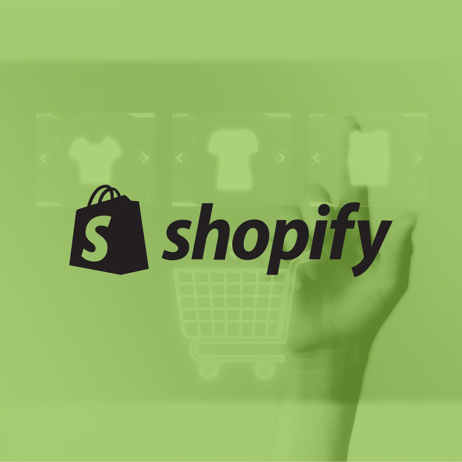 E-Commerce Store Setup - Shopify