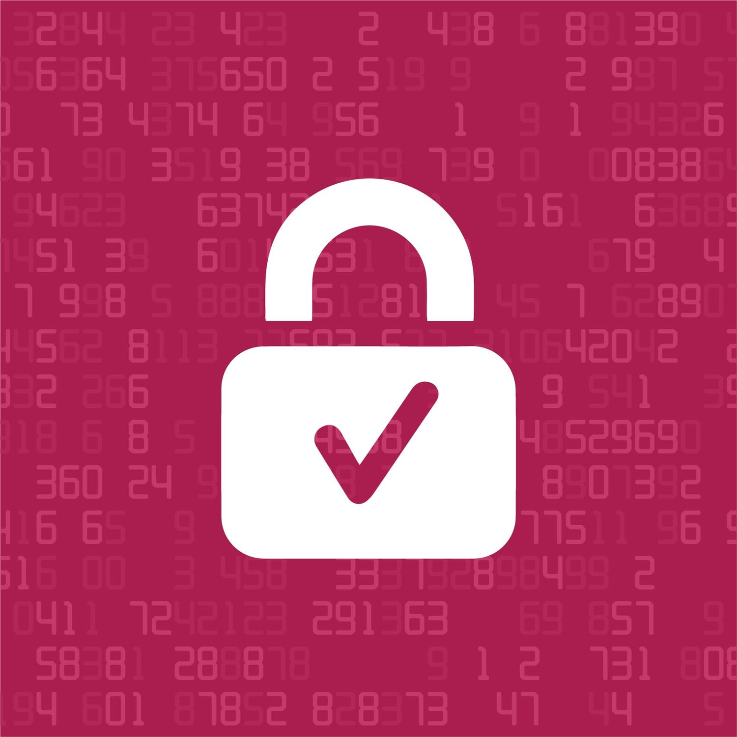 SSL Certificate Setup (Secure Sockets Layer)