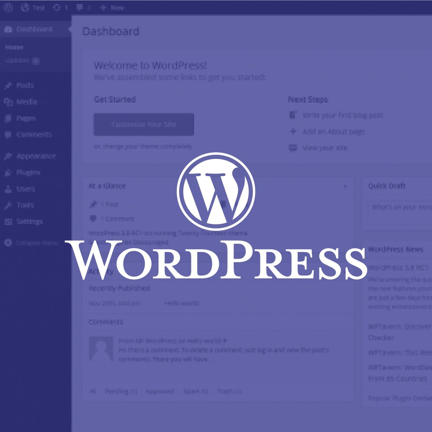 WordPress Setup