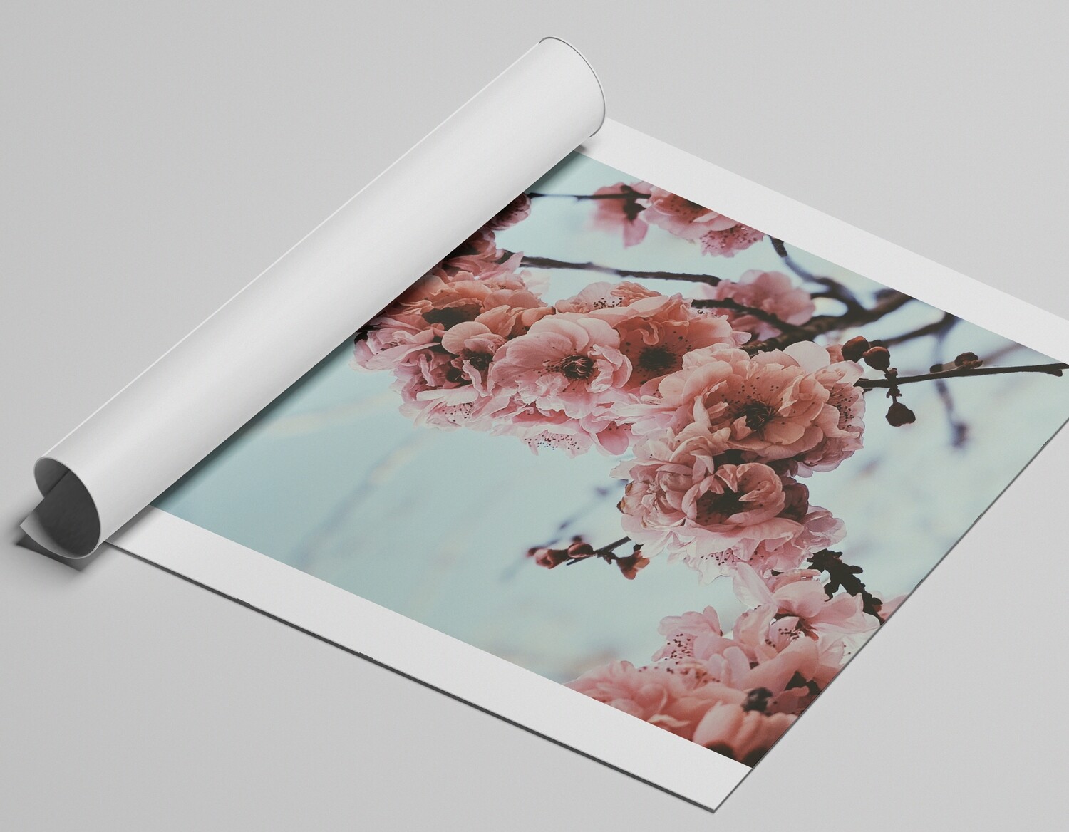 Gallery-style canvas print roll for framed artwork and displays