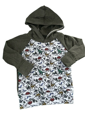 Hoodie 1/3 years - Dinosaurs
