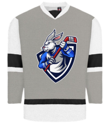 CUSTOM Jersey + Full Colour Front Logo +With solid name and solid numbers
